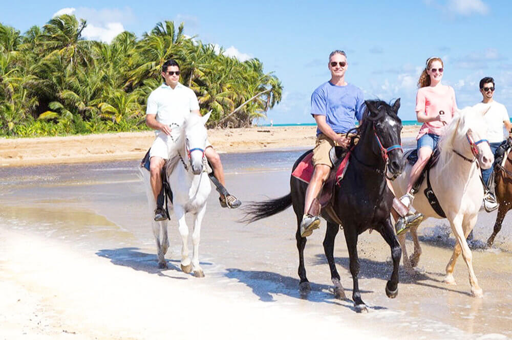Beach Horseback Ride